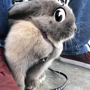 Meet your Posher, Carlos